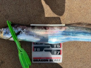 LINE_ALBUM_20240721_240721_14