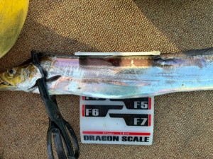 LINE_ALBUM_20240721_240721_3