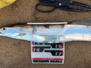 LINE_ALBUM_20240721_240721_5