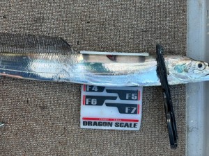 LINE_ALBUM_20240721_240721_7