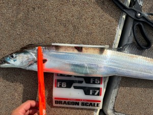 LINE_ALBUM_20240721_240721_9