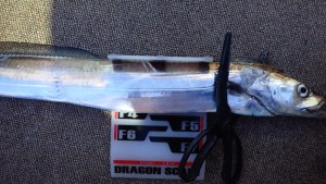 変換 ～ P7190173 - コピー