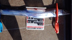 変換 ～ P7190191 - コピー