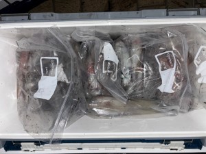 LINE_ALBUM_20240813_240813_2