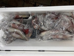 LINE_ALBUM_20240813_240813_3