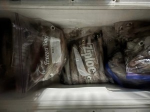 LINE_ALBUM_20240813_240813_7