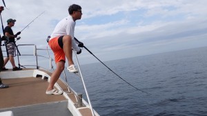 変換 ～ PA140017 - コピー - コピー