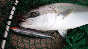 変換 ～ PA140048 - コピー