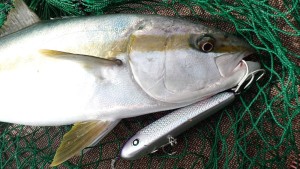 変換 ～ PA140038 - コピー - コピー