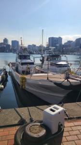 変換 ～ 20241231_132434