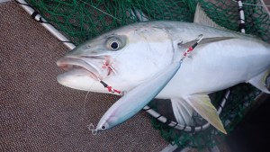 変換 ～ PC020110 - コピー - コピー