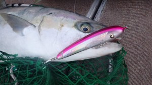 変換 ～ PC020119 - コピー - コピー