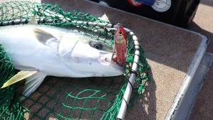 変換 ~ PC120140 - コピー