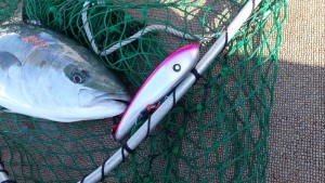 変換 ～ PC030248 - コピー