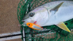 LINE_ALBUM_2024126_241206_13