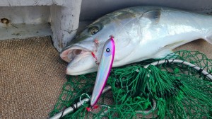 LINE_ALBUM_2024126_241206_31