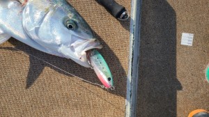 LINE_ALBUM_2024126_241206_45