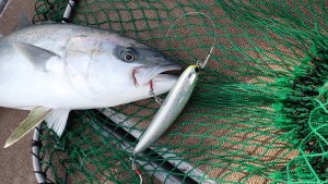 変換 ~ PC120178 - コピー