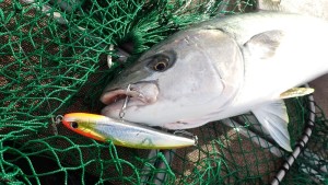 変換 ～ PC020206 - コピー