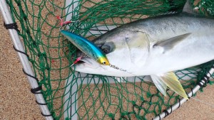 変換 ～ P3010169 - コピー