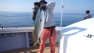 変換 ～ P2280063 - コピー