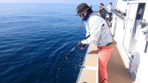 変換 ～ P2280044 - コピー