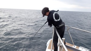 変換 ～ P3010155 - コピー