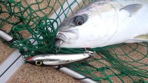 変換 ～ P3020215 - コピー