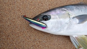 変換 ～ P3020211 - コピー