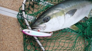 変換 ～ P3010160 - コピー