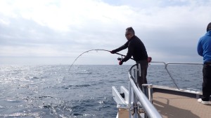 変換 ～ P3010124 - コピー - コピー