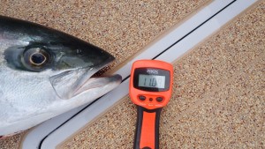 変換 ～ P3020222 - コピー