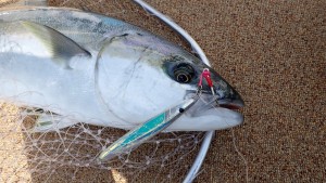 変換 ～ P3080215 - コピー - コピー