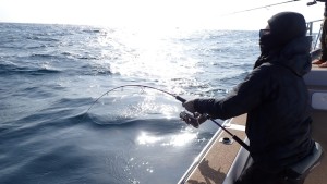 変換 ～ P3080027 - コピー - コピー